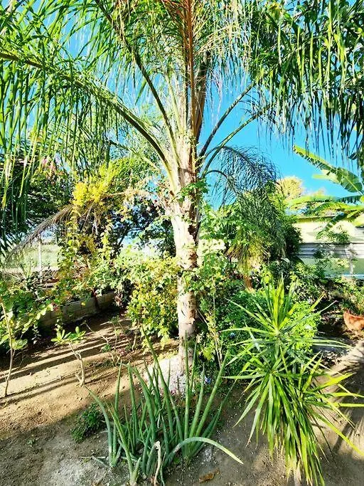 Tatil Evi Oasis Salinas Villa